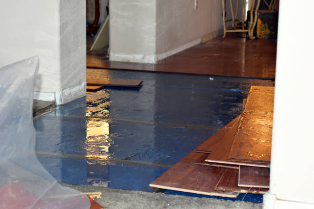 Professional Water Damage Restoration technician working in Laurel, IN